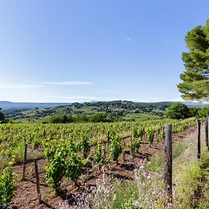 Park Castellet Provence - Dans Les Vignes Aoc Bandol à 15 Min Des Plages Et Du Circuit Paul Ricard F1 , Le Beausset France